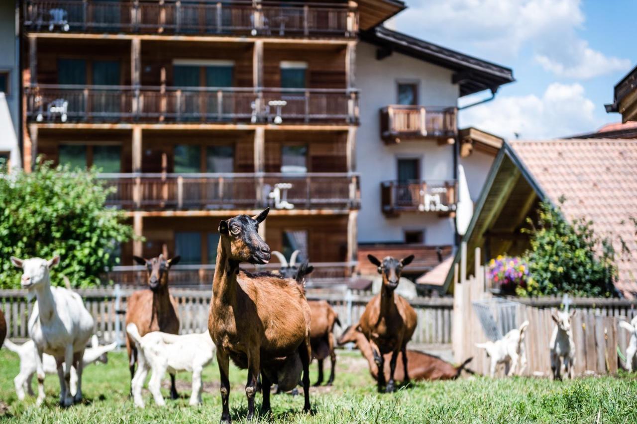 Sporthotel Exclusive San Vigilio Di Marebbe Eksteriør bilde